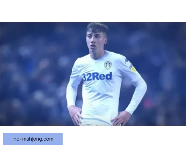 2025夏季转会窗口布伦特福德前锋转会动态与未来去向分析